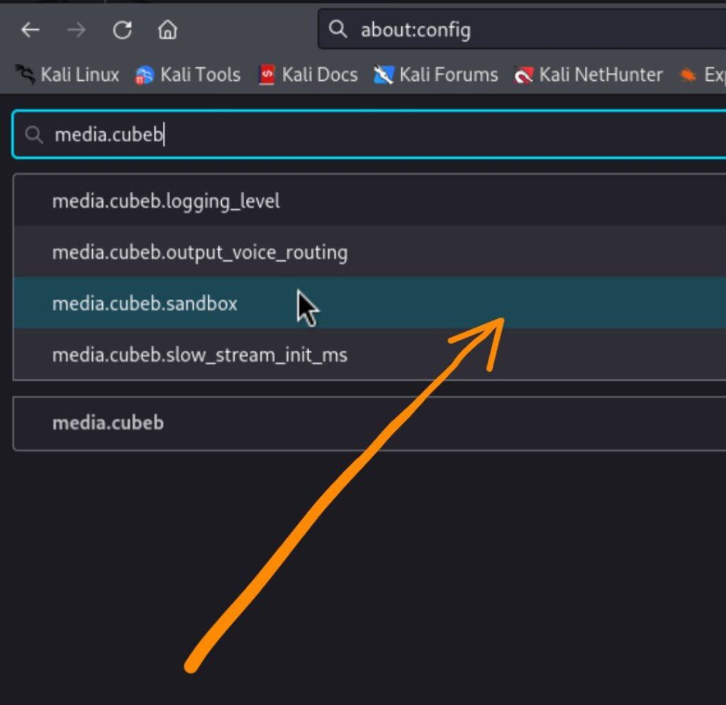 Search for media.cubeb.sandbox