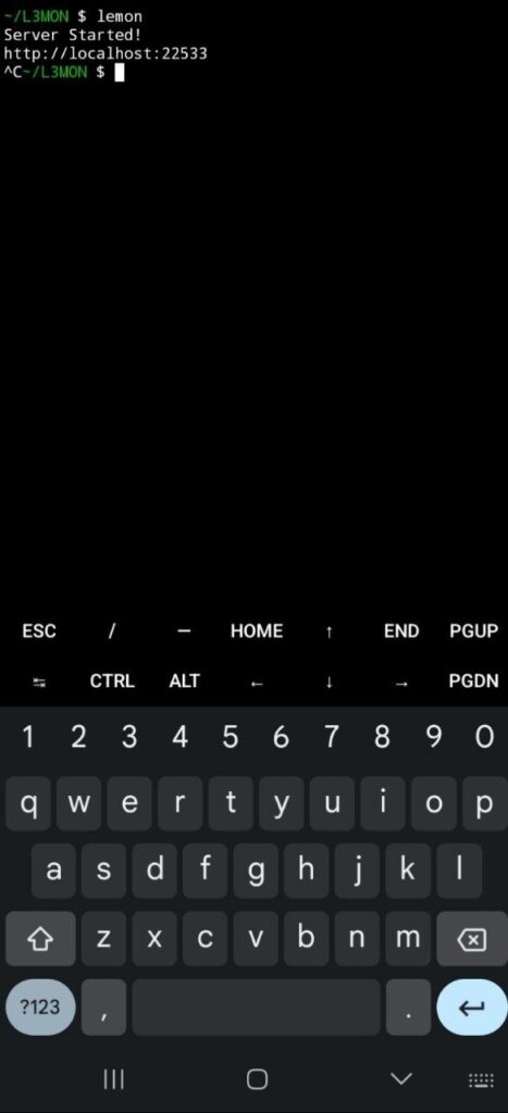 Stop server with ctrl+c